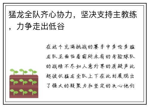 猛龙全队齐心协力，坚决支持主教练，力争走出低谷