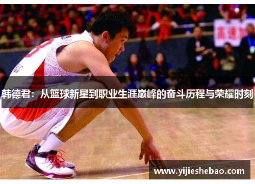 韩德君：从篮球新星到职业生涯巅峰的奋斗历程与荣耀时刻